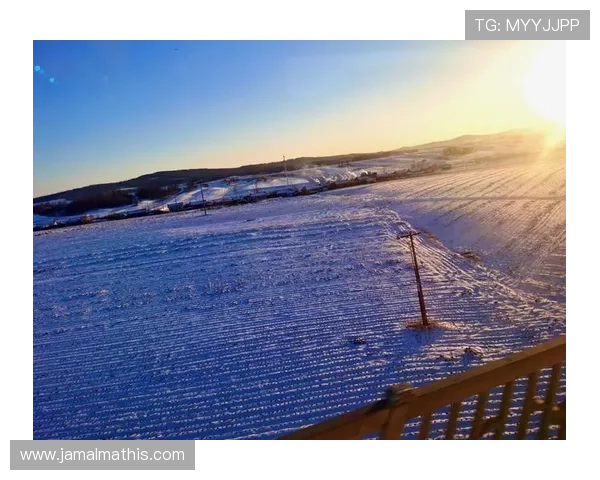 凯发首页地址的官方公告及其在不同设备上的访问技巧