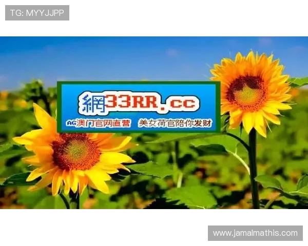 BG视讯官方地址官方网站网址官方登录入口最新2024版本